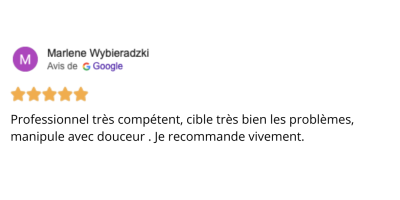 avis marlene